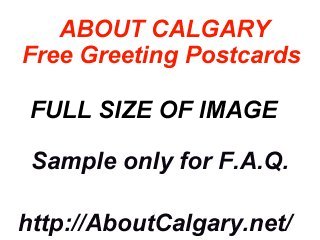 F.A.Q. SAMPLE ONLY!