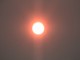 Forest Fire Smoke