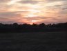 Thumbnail Sunset